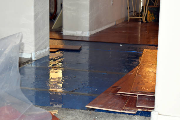 Professional Water Extraction technician working in Crystal, MI
